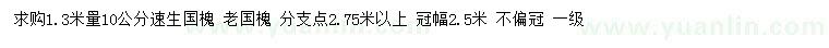 求購1.3米量10公分速生國槐、老國槐