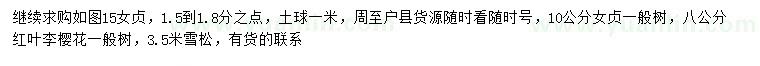 求購女貞、紅葉李、櫻花等