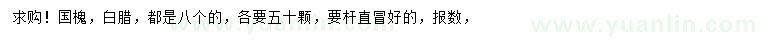 求購8公分國槐、白蠟