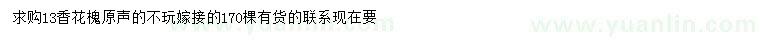 求購13公分香花槐