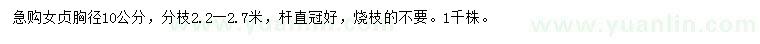 求購胸徑10公分女貞
