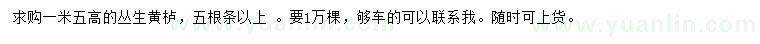 求購高1.5米叢生黃櫨