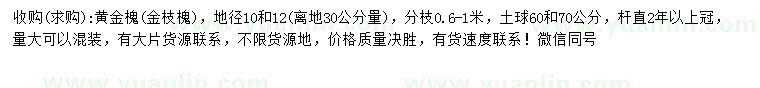 求購(gòu)30量10、12公分黃金槐