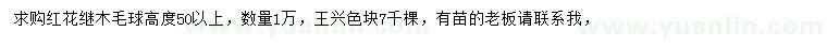 求購高50公分以上紅花繼木毛球、黃馨