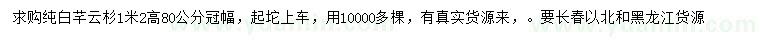 求購(gòu)高1.2米云杉