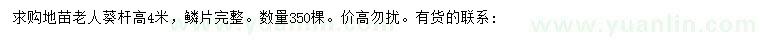 求購高4米老人葵