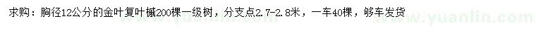 求購胸徑12公分金葉復(fù)葉槭