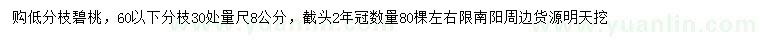 求購(gòu)30處量尺8公分碧桃