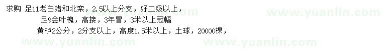 求購老白蠟、北欒、金葉槐等