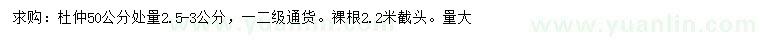 求購(gòu)50公分處量2.5-3公分杜仲
