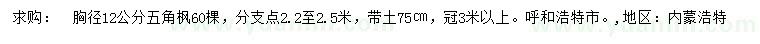 求購胸徑12公分五角楓