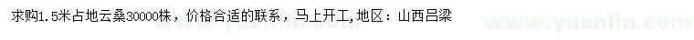 求購(gòu)1.5米云桑