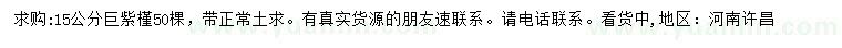 求購15公分巨紫荊