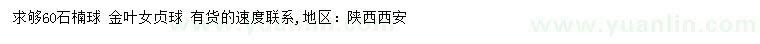 求購(gòu)60公分石楠球、金葉女貞球