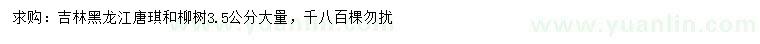 求購3.5公分糖槭、柳樹
