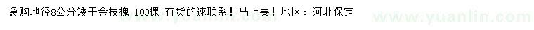 求購(gòu)地徑8公分金枝槐