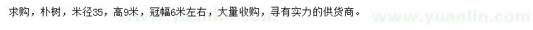 求購米徑35公分樸樹