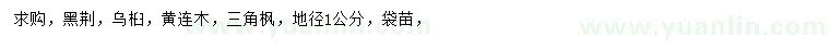 求購黑荊、烏桕、黃連木等