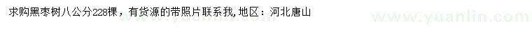 求購8公分黑棗樹
