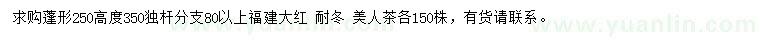 求購(gòu)福建大紅、耐冬、美人茶