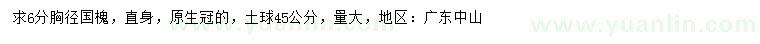 求購(gòu)胸徑6公分國(guó)槐