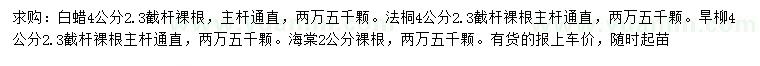 求購白蠟、法桐、旱柳等