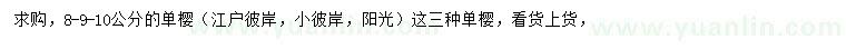 求購8、9、10公分單櫻