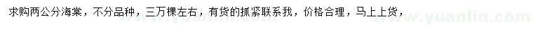 求購2公分海棠