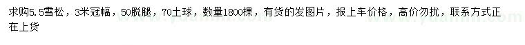 求購(gòu)5.5米雪松