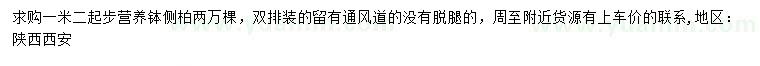 求購1.2米起步側(cè)柏