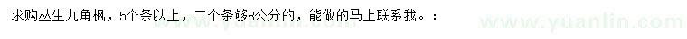 求購(gòu)叢生九角楓