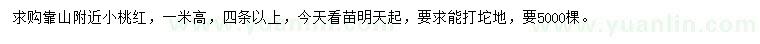 求購高1米小桃紅