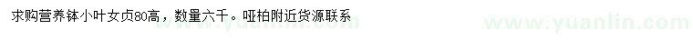 求購高80公分小葉女貞