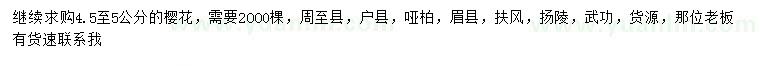求購4.5-5公分櫻花