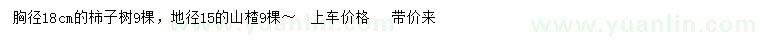 求購胸徑18公分柿子樹、地徑15公分山楂
