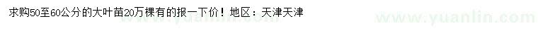 求購(gòu)50-60公分大葉苗