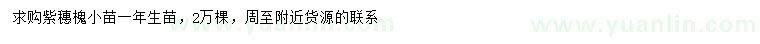 求購紫穗槐小苗