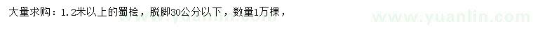 求購1.2米以上蜀檜