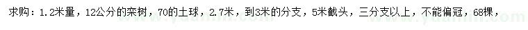 求購1.2米量12公分欒樹