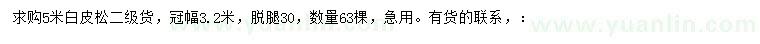 求購(gòu)5米白皮松