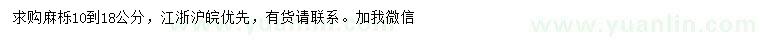 求購10-18公分麻櫟