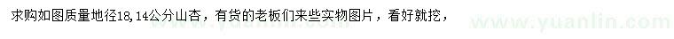 求購地徑18、14公分山杏