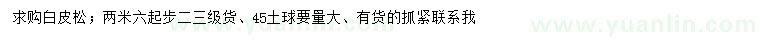 求購2.6米起步白皮松