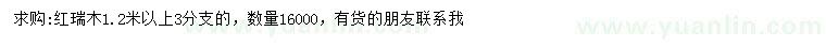 求購1.2米以上紅瑞木