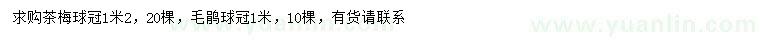 求購冠幅1.2米茶梅球
