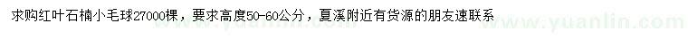 求購高50-60公分紅葉石楠球