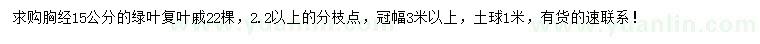 求購胸徑15公分綠葉復葉槭