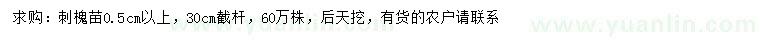 求購(gòu)0.5公分以上刺槐苗