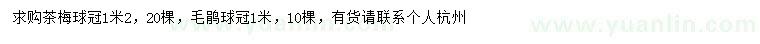 求購(gòu)冠幅1.2米茶梅球、冠1米毛鵑球