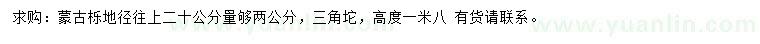 求購20公分量2公分蒙古櫟